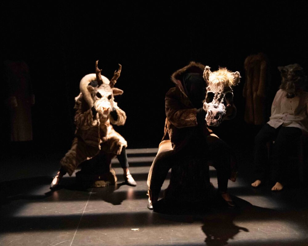 #4-A comme Animal exploration de l_espace sur roulettes